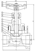 Globe Valve - Thread - drawing