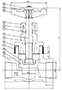 Globe Valve - Thread - drawing