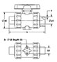 PP PURE TYPE-21 BALL VALVE_Dimension